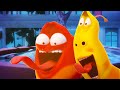 THE BIG SHOWDOWN! 🥊  | LARVA | Cartoons for Kids | WildBrain Kids