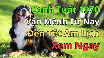 CẢNH BÁO Canh Tuất 1970: Vận Mệnh Từ Nay Đến Tết Âm Lịch! Muộn 1 Bước Lỡ Cả Đời | Phong Thủy Tử Vi