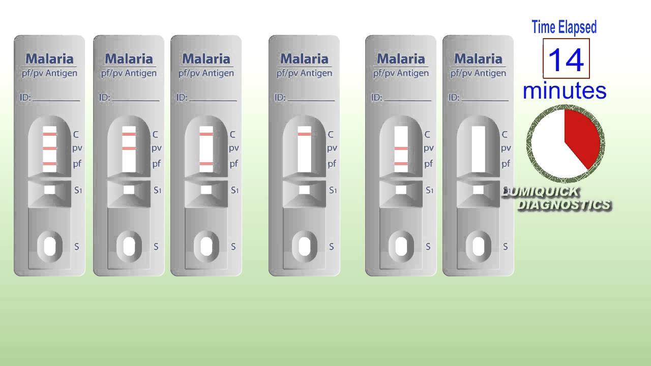 QuickProfile Malaria Test YouTube