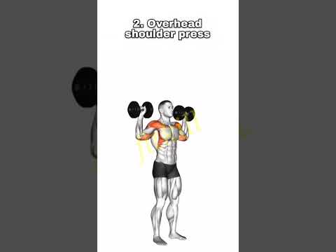 Upper Body Workout