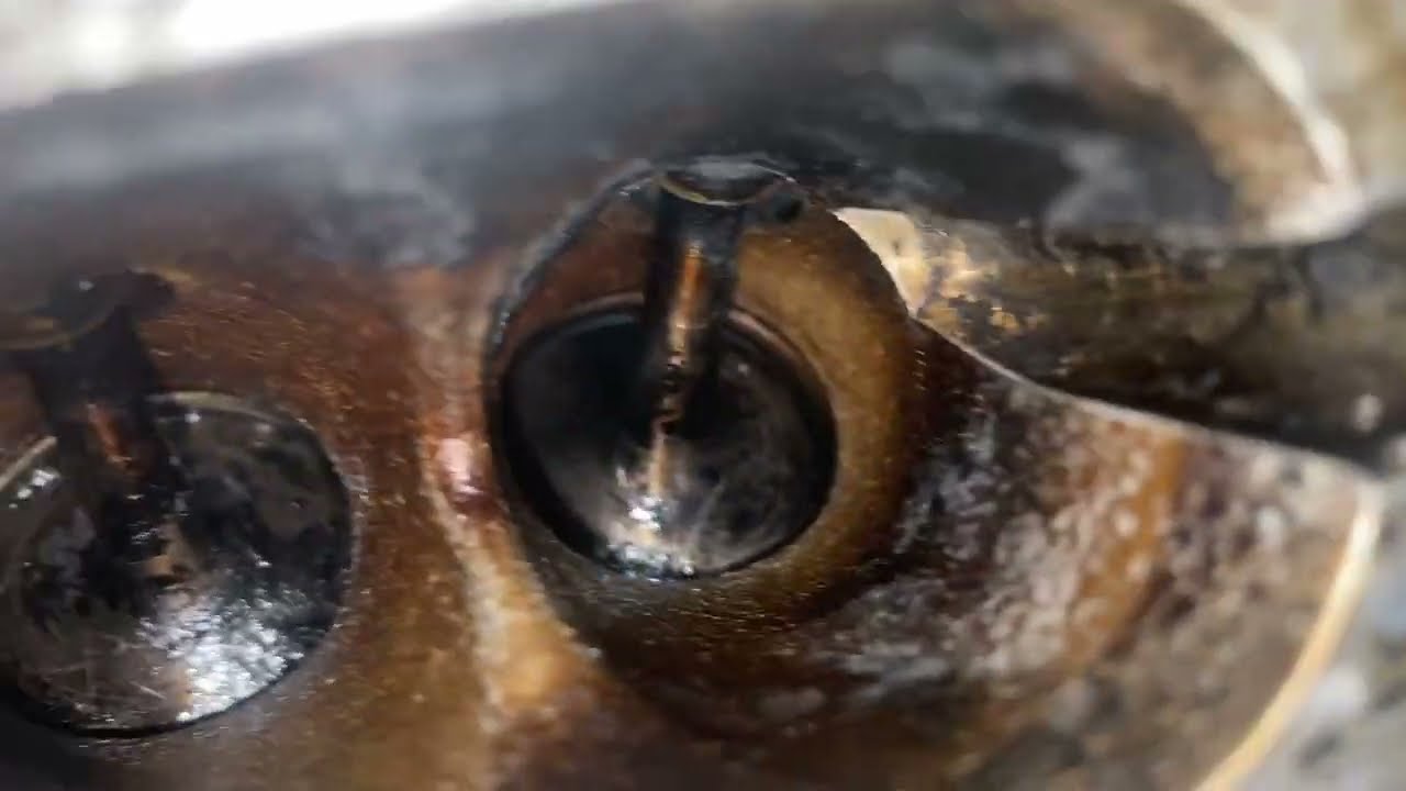 AUDI 2.0T Q5 -  CARBON CLEANING /  INTAKE MANIFOLD RE-INSTALLATION AUDI Q5 B8 B8.5 A4 A5 S4 S5 Q5 A6