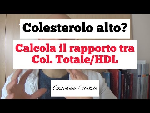 Colesterolo alto? Calcola il rapporto Col.Totale/HDL