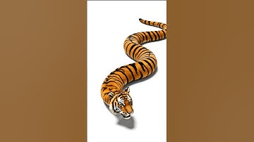 AI Smart Creation | Tiger with Snake Body – Relaxing & Creative AI Video | AI Instaforge Shorts