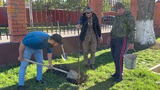 Сотрудники Грозненского педагогического колледжа посадили деревья на территории колледжа