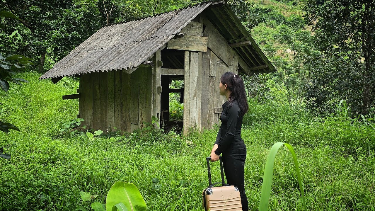 CEO gives up city life - Returns to the FOREST & revives a 30-year abandoned house