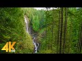 The Gem of Wallace Falls State Park, WA - 4K Nature Relax Video (Waterfall Sounds and Bird Songs)
