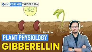 Gibberellin | Plant Physiology | CSIR NET JUNE 2024 I IFAS
