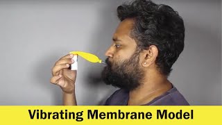 Vibrating Membrane Model Diy Science Thinktac