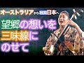 (津軽三味線)思いが強すぎて泣いてしまう為ライブ演奏ができなかったオリジナル曲“山津見の里” A nostalgic song from Australia to Japan on Shamisen