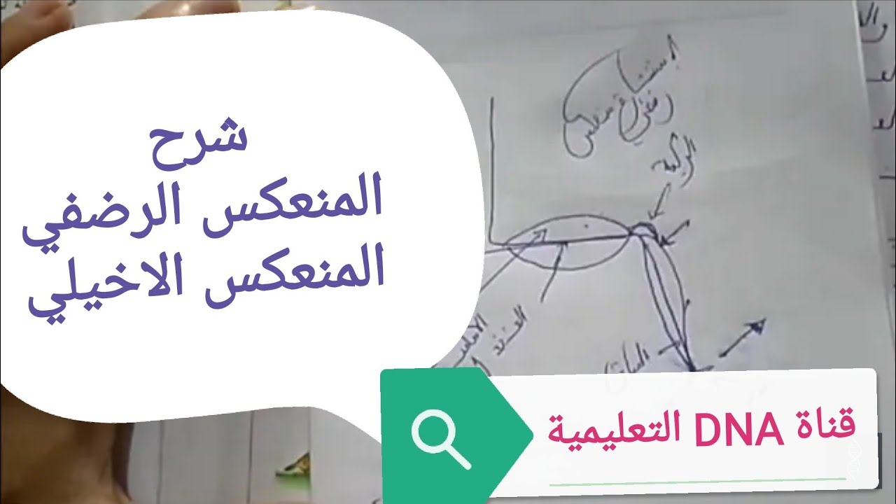 المنعكس الرضفي والمنعكس الاخيلي