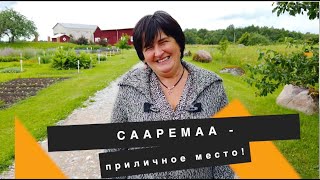 ДАЛЕКО ЛИ ДО ТАЛЛИННА? СААРЕМАА: МЫЗА ТЫЛЛУСТЕ