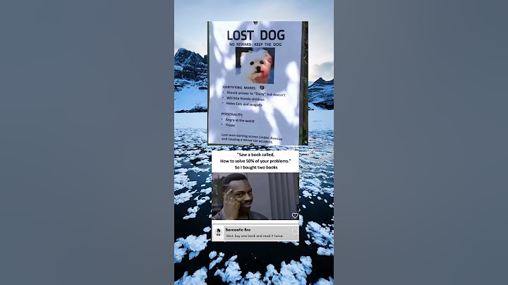 Do not rescue this dog