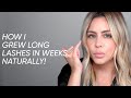 How I Grew Long Lashes In Weeks, Naturally!