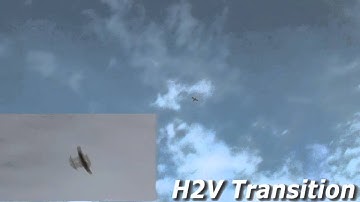 Tailsitter Automatic Vertical Take-off and Transition