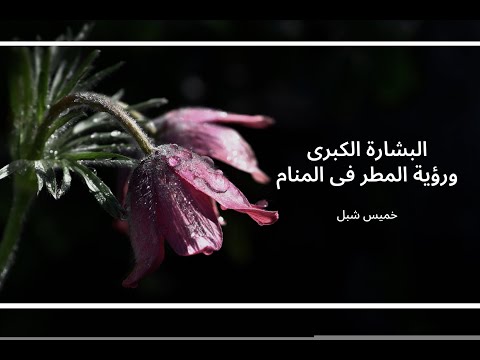 البشارة الكبرى وتفسير رؤية المطر فى المنام