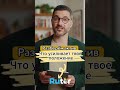Активы и пассивы: разница и значение