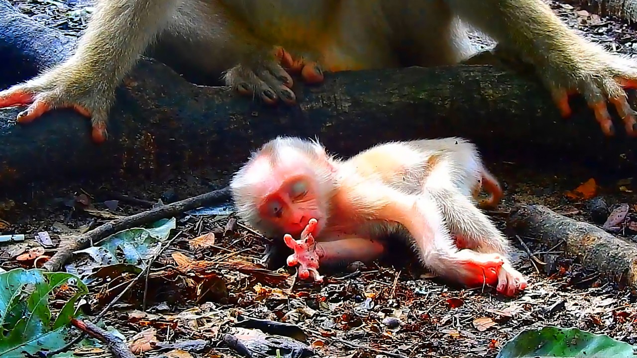 Adorable baby sleeping peacefully alone on the ground without milk