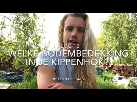 Video: Kippenhokken In Uw Achtertuin - Matador Network