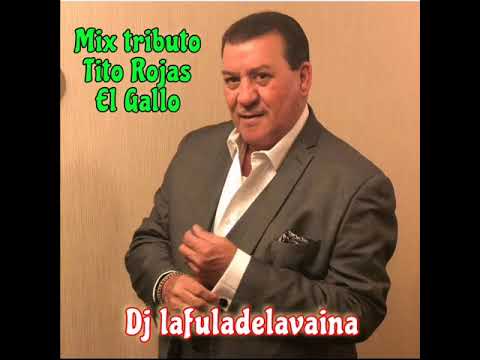 Tributo a el Gallo de la Salsa Tito_ RojAs