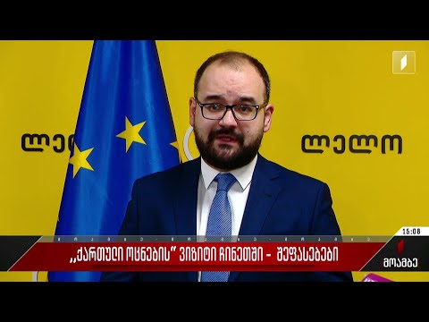 „ქართული ოცნების“ ვიზიტი ჩინეთში - შეფასებები პოლიტიკურ სპექტრში