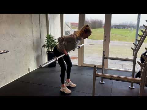 Bent over row med stang