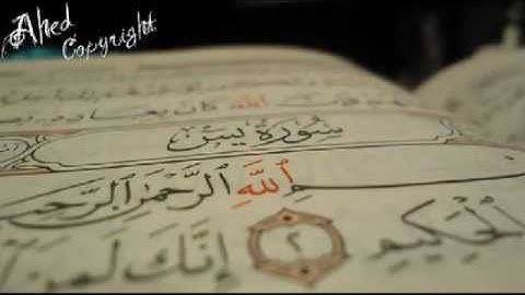 نجم كفري /يس/nagm kfree القارئ ملا نجم الدين