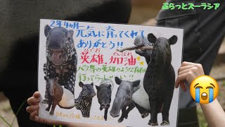 本日公開最終日のひでおとロコママ閉園時間ギリギリの分間です