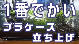 一番でかいプラケース水槽【立ち上げ】