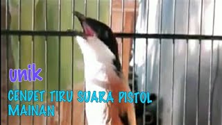 Suara burung CENDET|PETET GACOR NIRU PISTOL MAINAN MANTAP !! JOSS