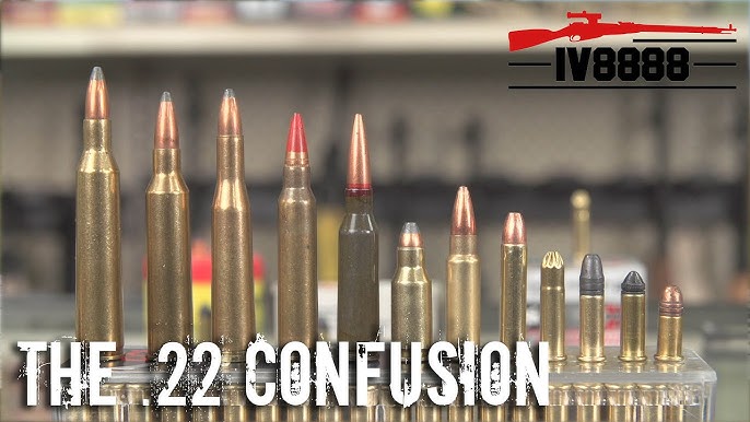 Bullets: Sizes, Calibers, and Types [Guide + Videos] - Pew Pew Tactical