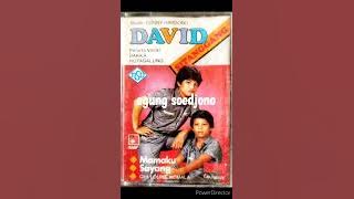 Mamaku Sayang - David Sitanggang