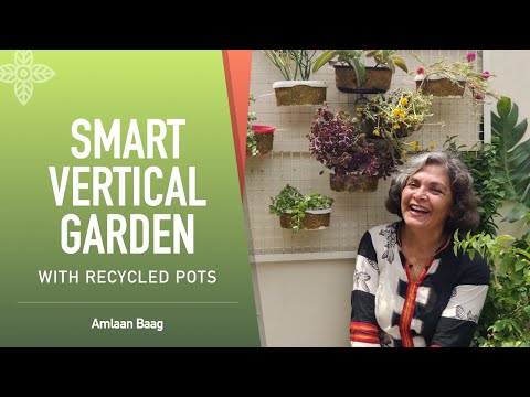 Video: Záhradníctvo s vertikálnymi kvetináčmi – ako vytvoriť vertikálnu záhradu v organizéri na topánky