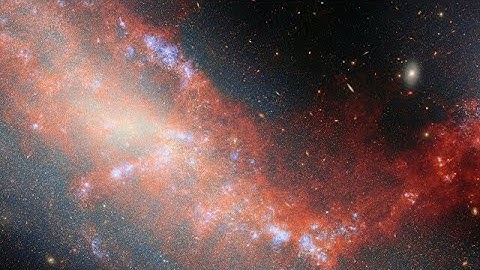 Pan video: NGC 4490 and NGC 4485