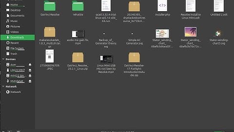 Linux Mint GUI Files and Search