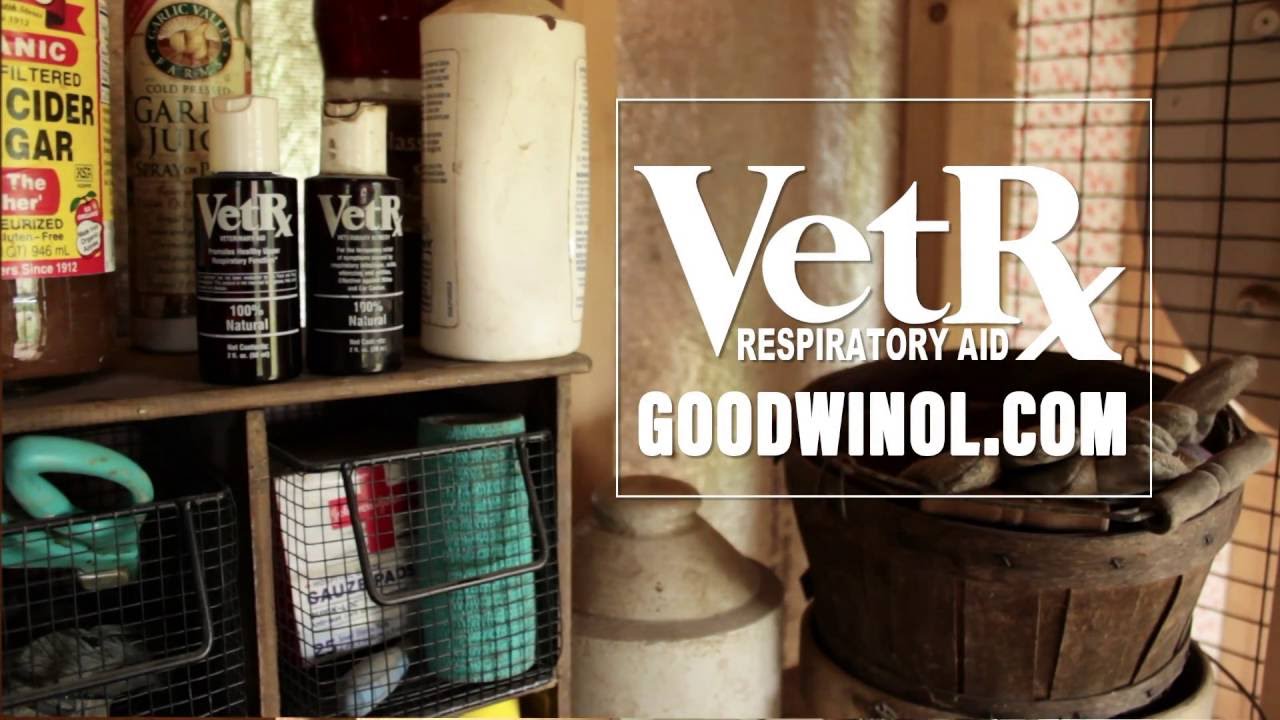 Poultry Rx Vet Rx Poultry Aid Commercial - Fresh Eggs Daily - YouTube