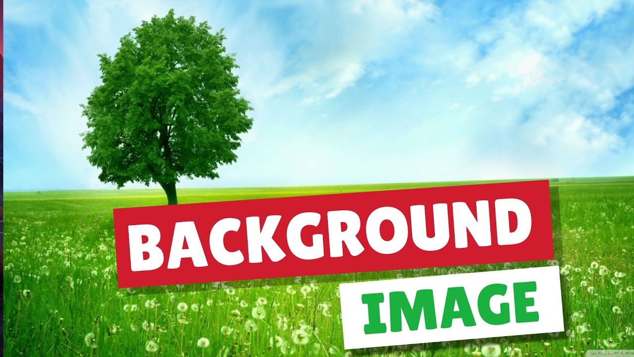 How to add Background Image in Html using CSS Full Screen | Html Css ...
