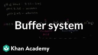 Introduction to buffers | Water, acids, and bases | Biology | Khan Academy