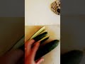 Timun Kyuri Jenis Timun Yang Enak Buat Tambahan Lalap Timun Kyuri Jenis Timun Yang Enak Buat Tambahan Lalap