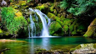 Music douce relaxante rai algerie fafaray 2020 screenshot 5