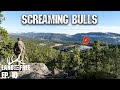 Screaming Bull Elk (INTENSE) | LOF3 Ep. 10