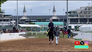 Fierceness Breezes, West Saratoga Arrives: 2024 Kentucky Derby 150 Training 4/26/24