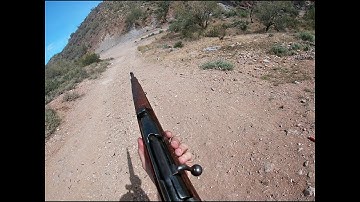 8mm Carcano shooting