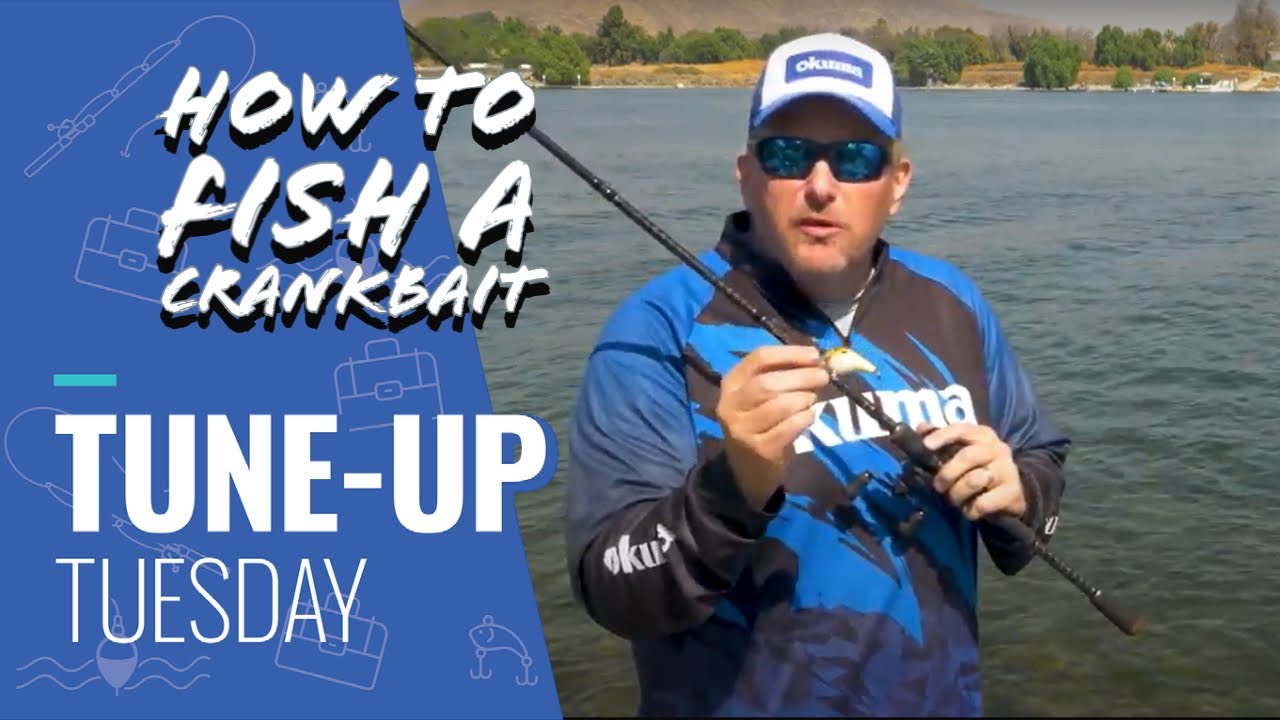 Fishing Tips] How To Fish a Crankbait, Bass Fishing Tips - FAQs