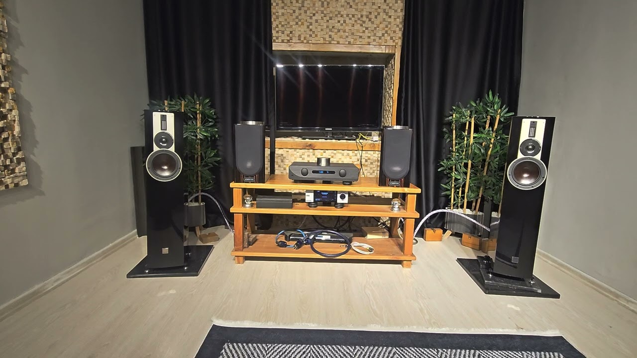 Dali rubicon 5 & Atoll ın200 signeture & EverSolo A6 ME 2