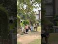 Madam ka 500 ka note #viral #funnyvideos