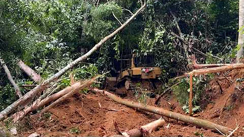 Bulldozer D6R XL Opens New Paths in the Wilderness Mountains