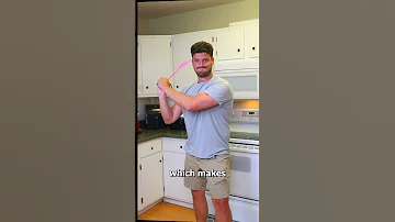 Why It S So Hard To Swat A Fly 