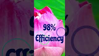 The Lotus Policy Revolution#Biomimicry#Nanotech #SustainableCities #2026Tech#sciencefacts#viralvideo
