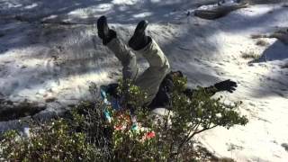 Big Bear 2016