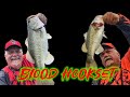 Blood Hookset! Catching fish with missed hook sets, power hook sets, and deep hook sets.